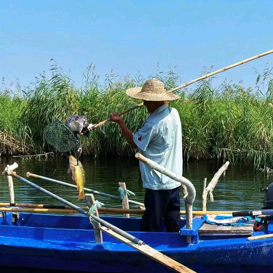 康乾休闲岛码头（白洋淀旅游接待）