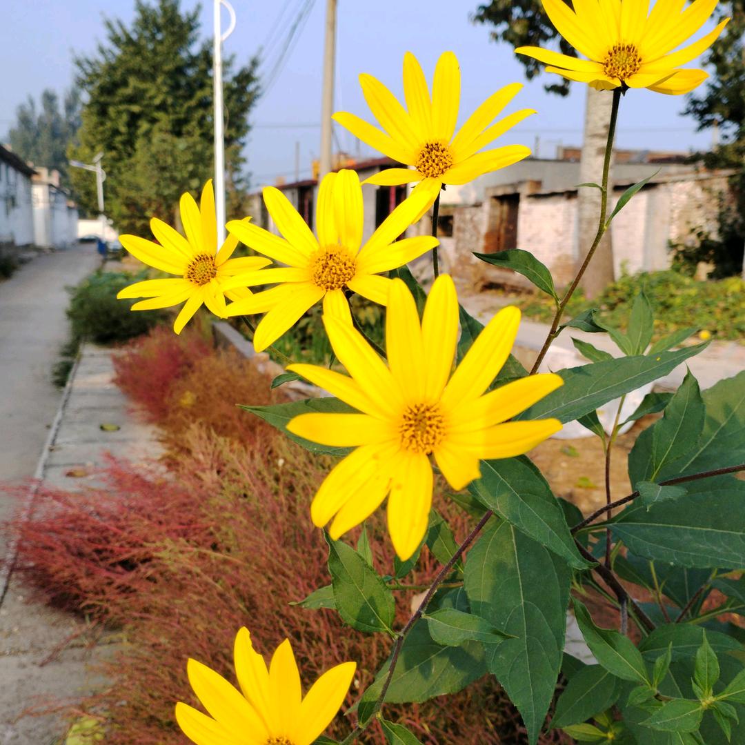 温塘胡师傅饭店