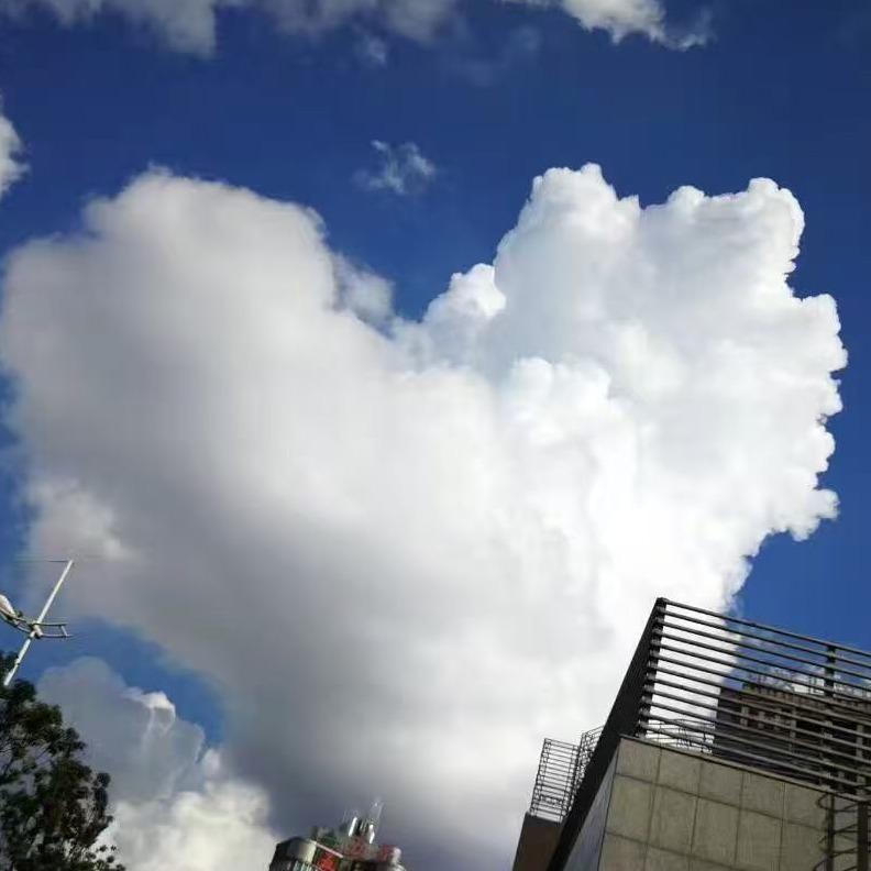 星肃 明源 宠粉号