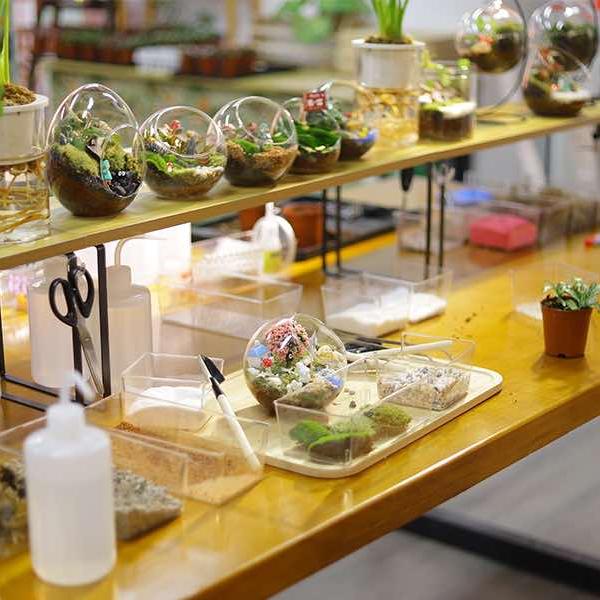 森与世界微景观DIY（红谷滩万达店）