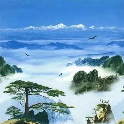 重购直播号