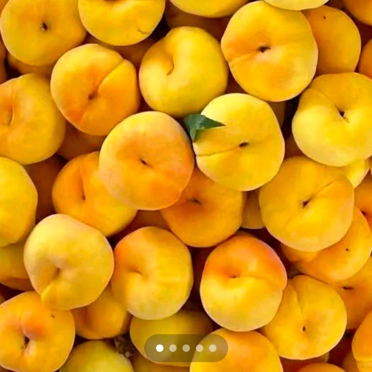 四季鲜果【灵璧店】