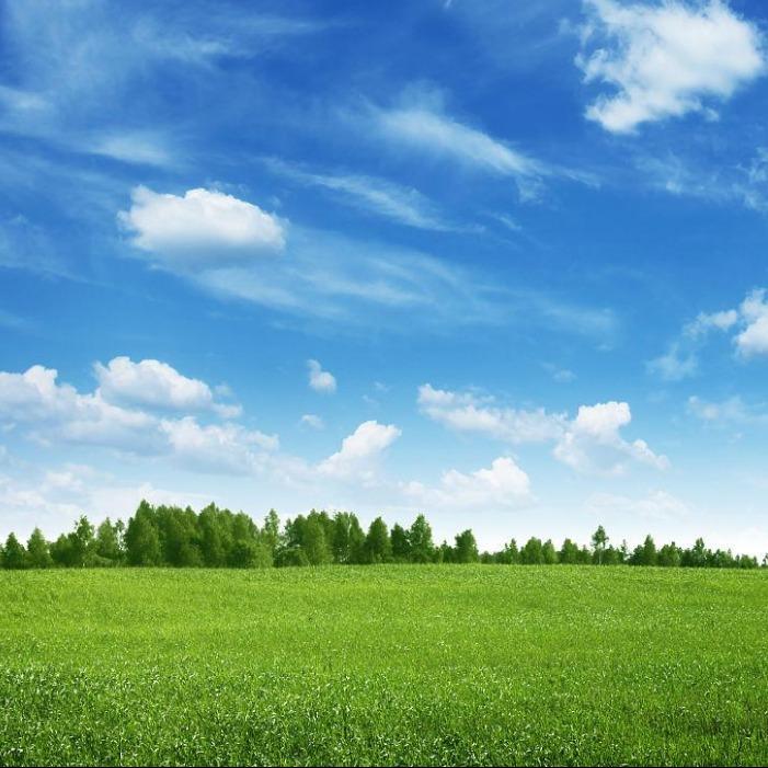 杨锋杨锋的直播号