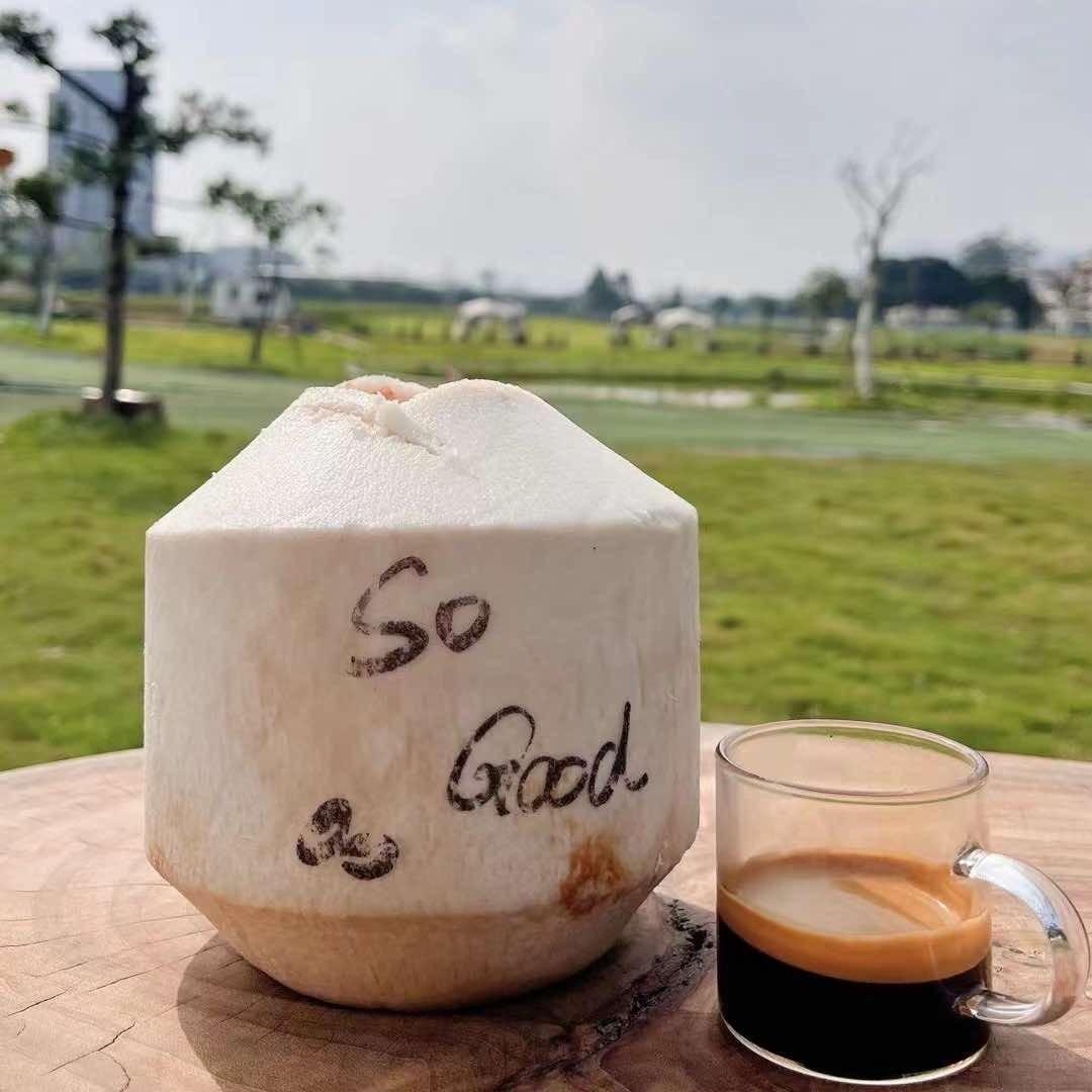 瑶丰生态园So Good Coffee