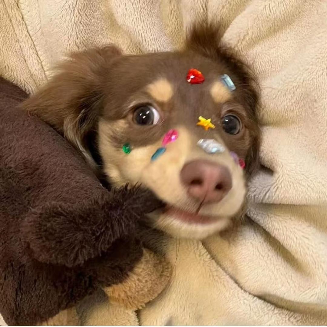 一木养生馆小何