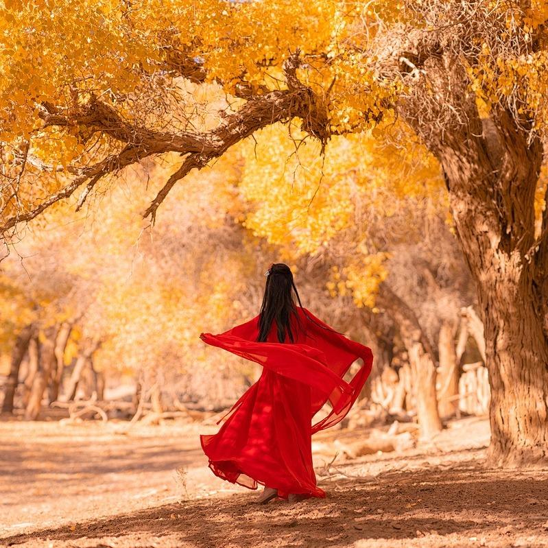 腾达国旅--（绵绵）胡杨林