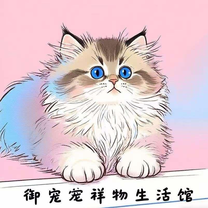 御宠祥物生活馆