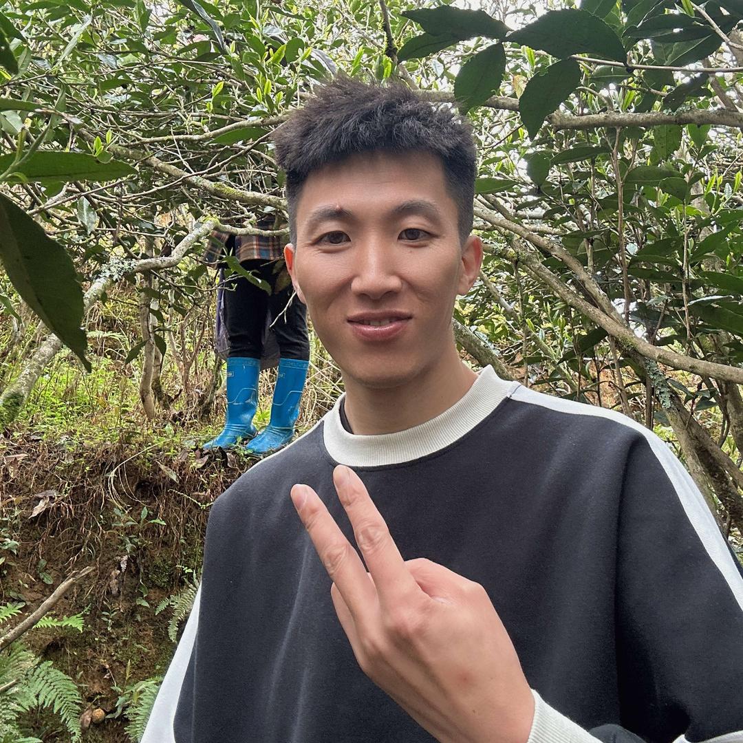 小叶严选·莲池区旺春茶行