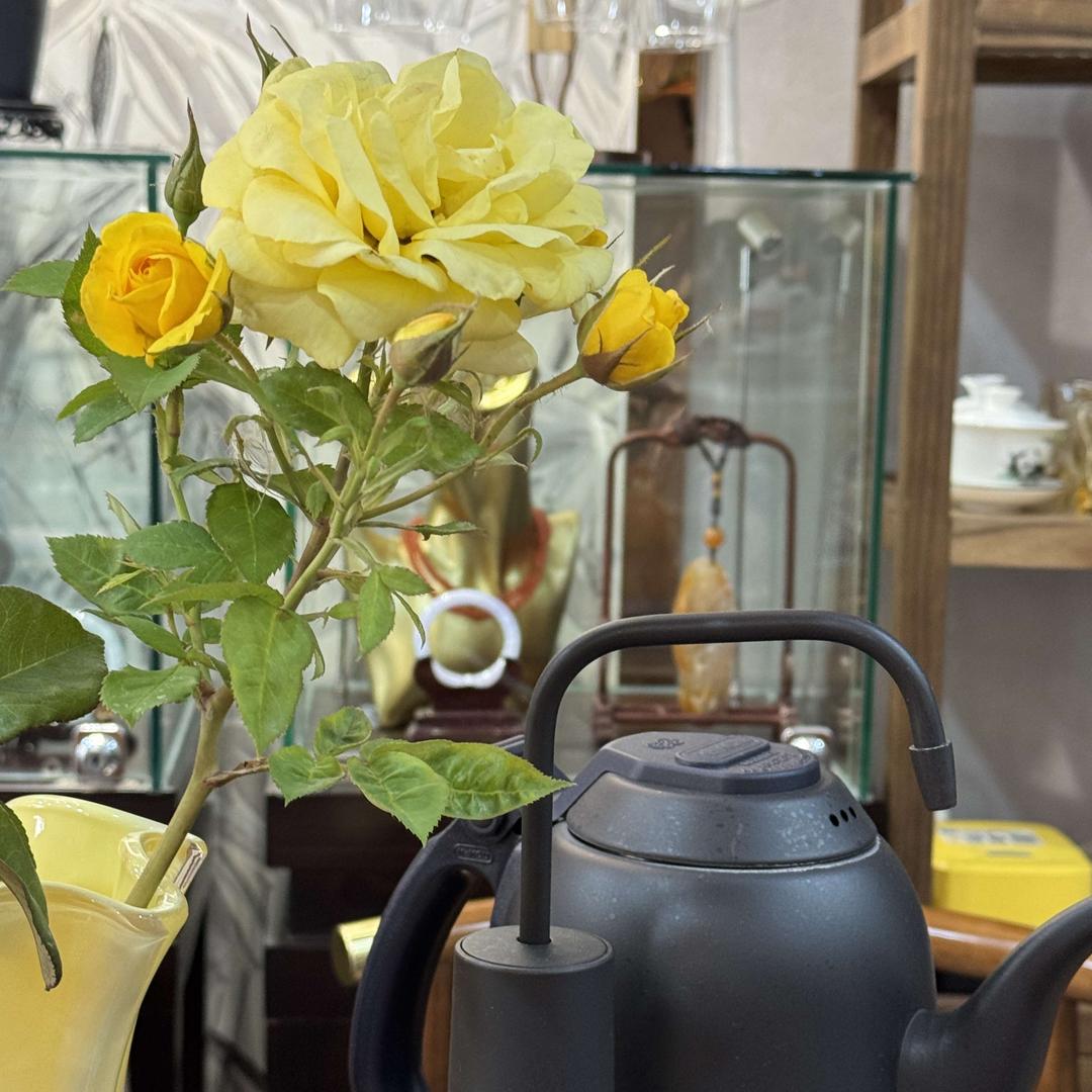 乾卦凤元茶业｜妙圆咖啡官方号