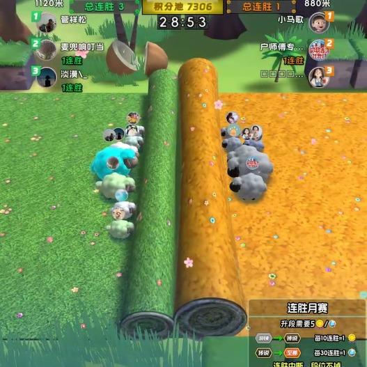 云周末便利店(嘉宾路店)专用号