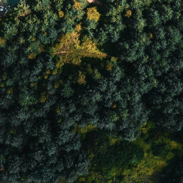 地摊牛排锅(新桥店)