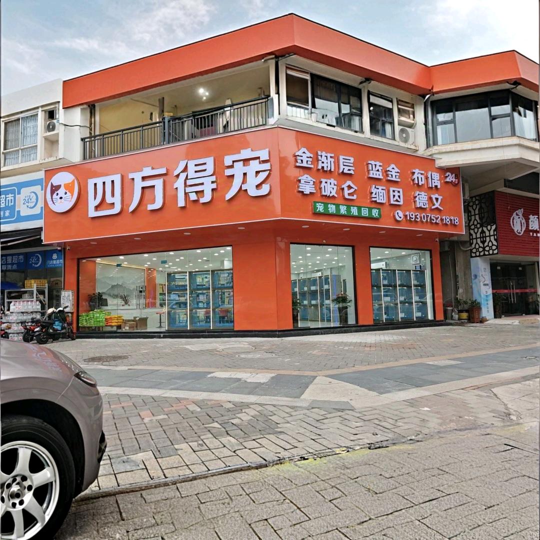 四方得宠·购猫购犬·猫狗洗护中心