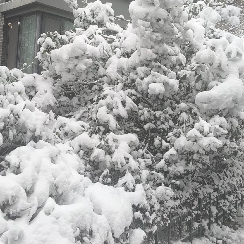 谍捷电子运营号