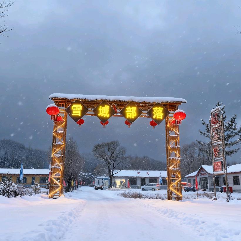 雪域部落官方号