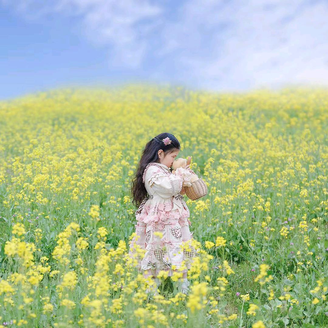 豆苗儿摄影工作室