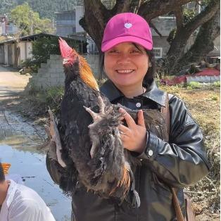 表弟炒土鸡
