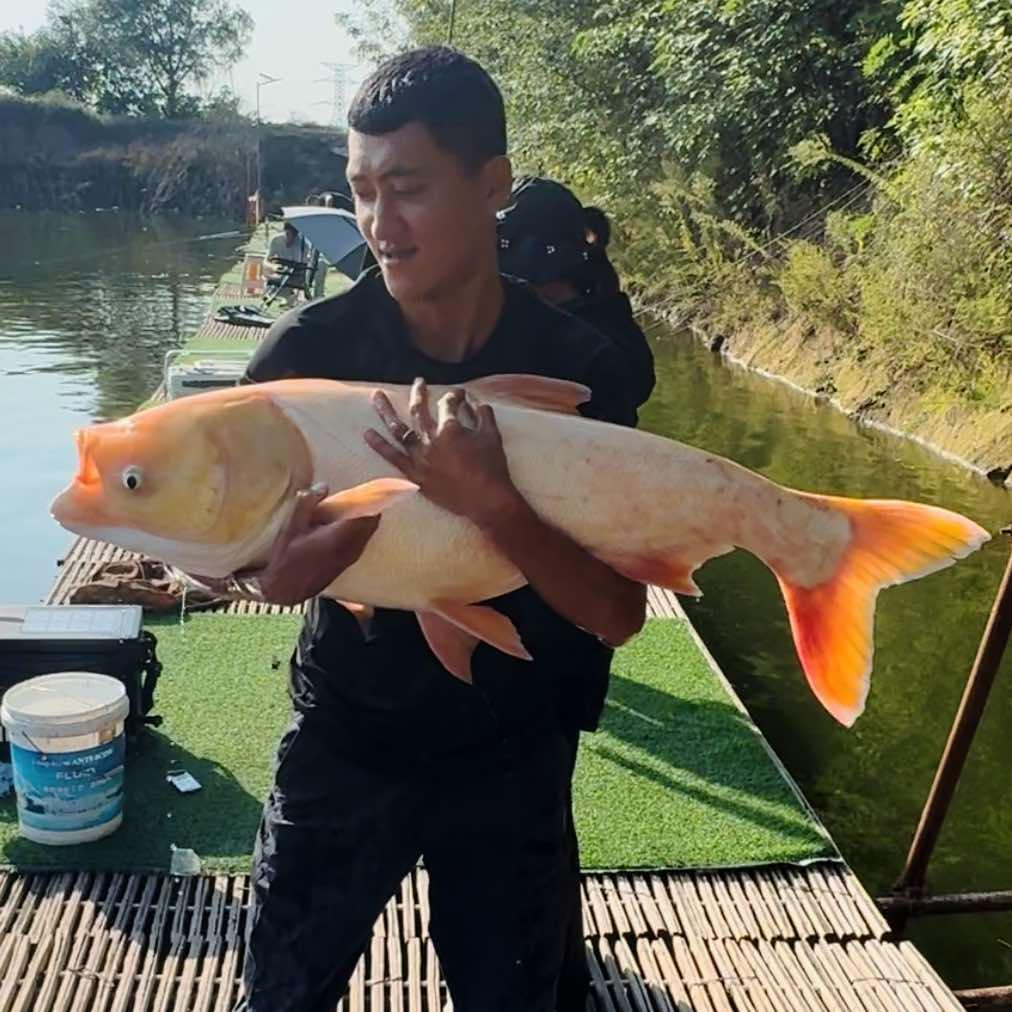 平度腾达渔乐垂钓园