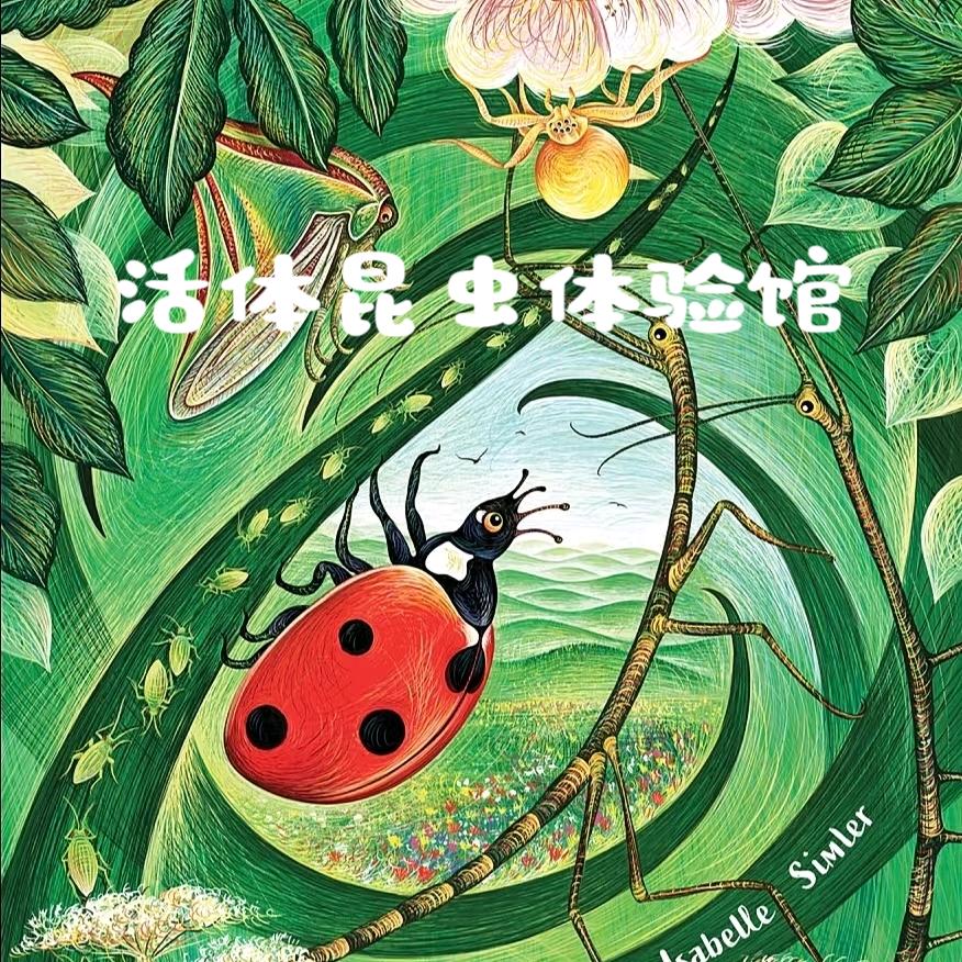 活体昆虫体验