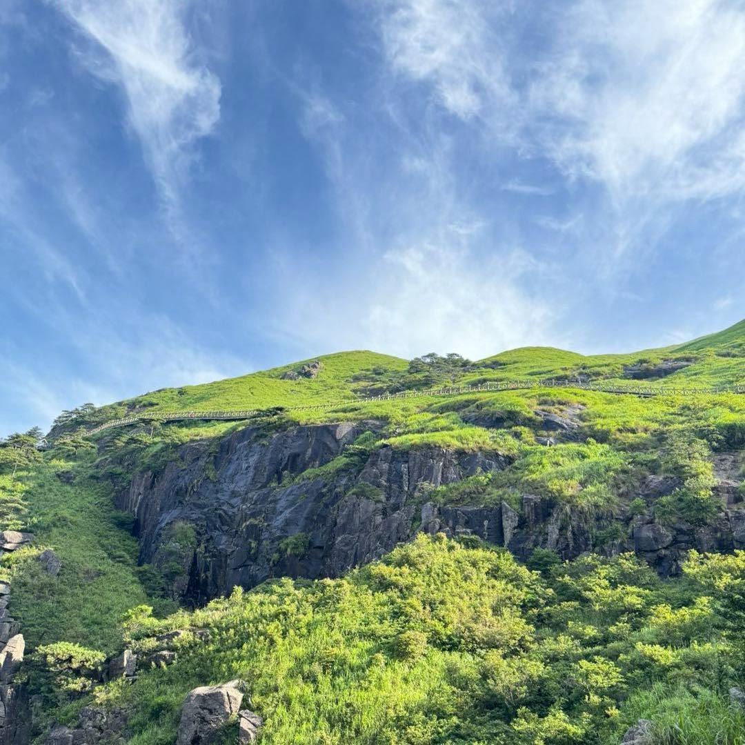 海纳百川宠粉号