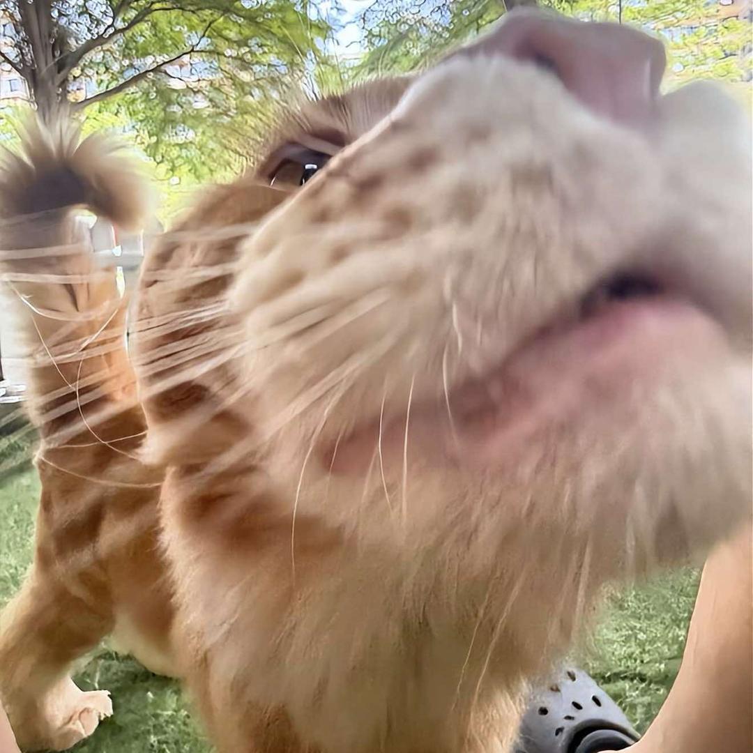 遛贰宠物洗护专门店官方号