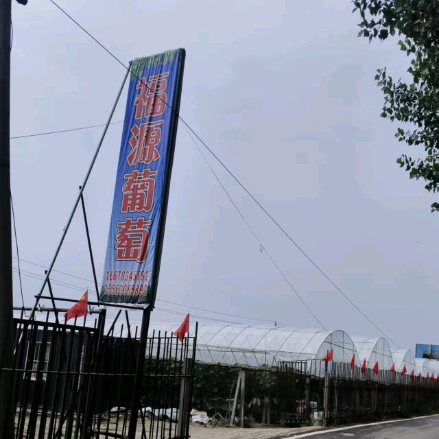 福源葡萄采摘园官方号