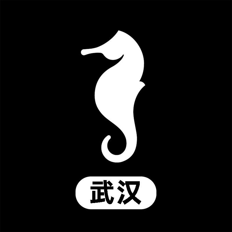 海马体照相馆丨武汉