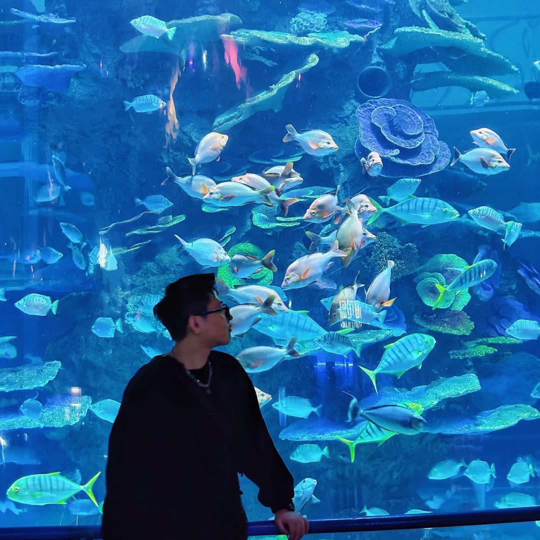 新形象发型设计