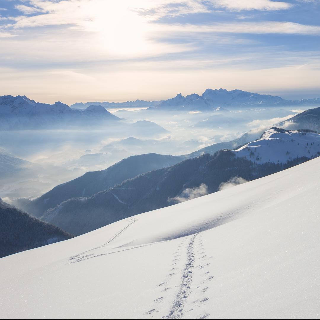 便利蜂直播号小楠
