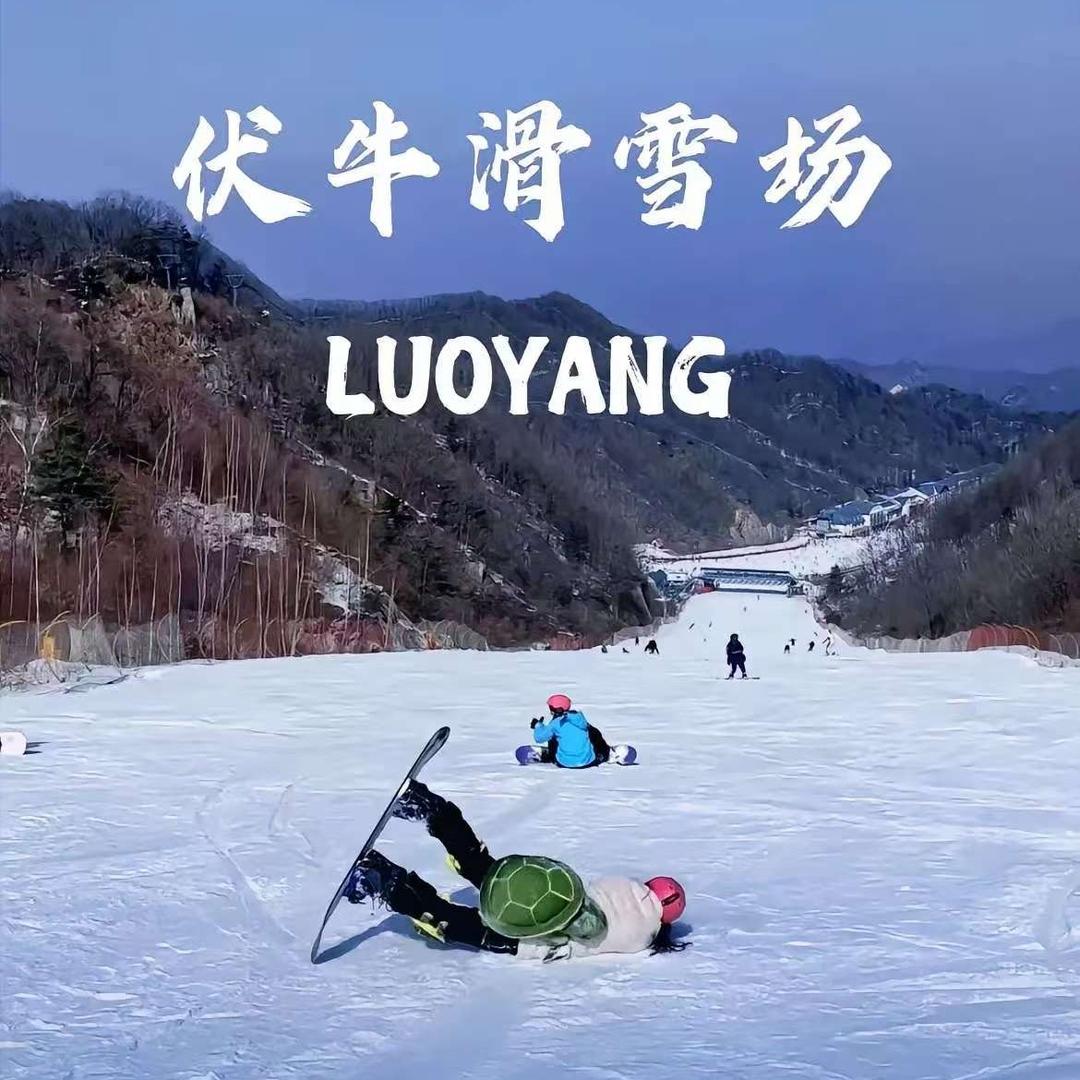 伏牛山滑雪票.新绿风
