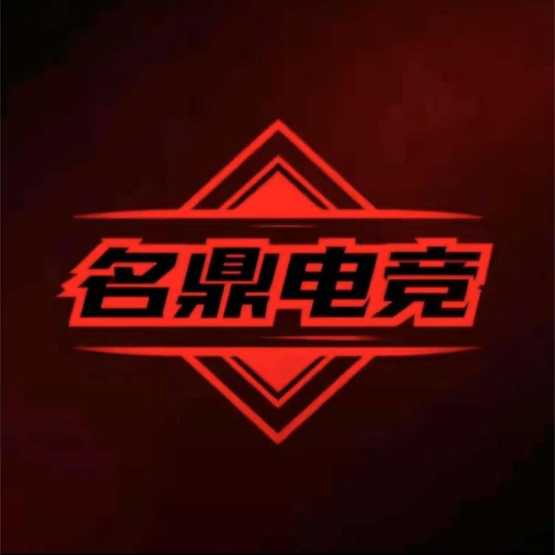 名鼎电竞发展有限公司