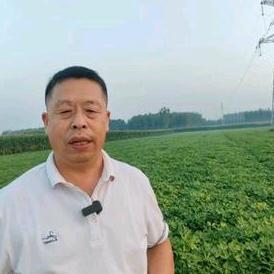 杨哥说农业
