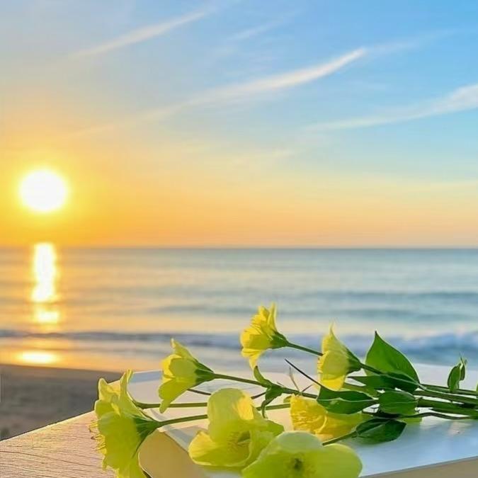 贵睿荟直播888号