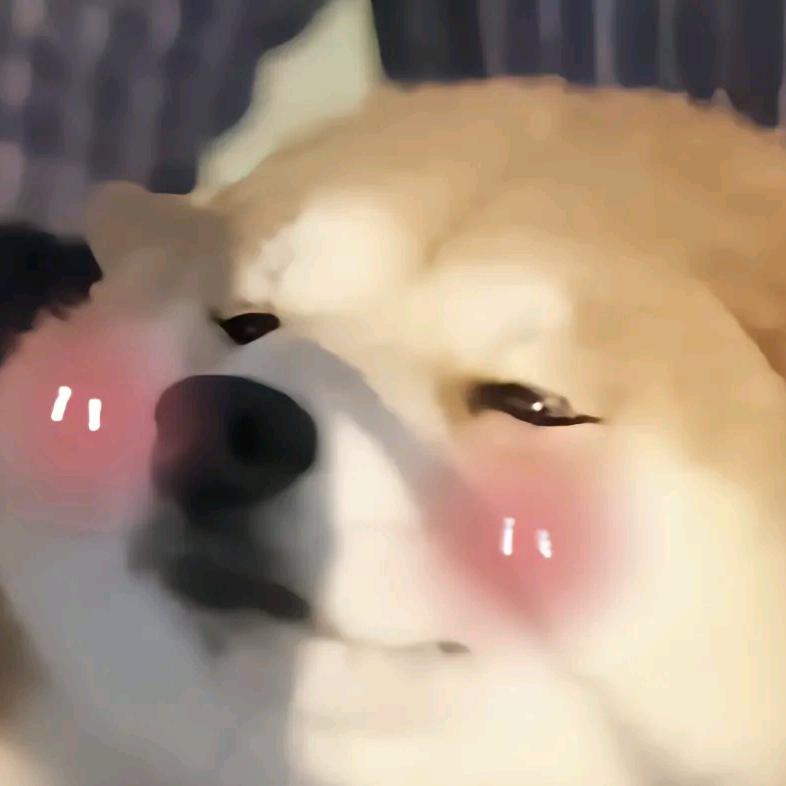 五毛