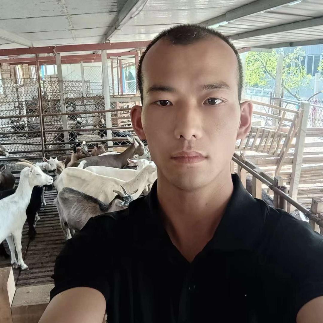 莘县哼利烧烤火锅店