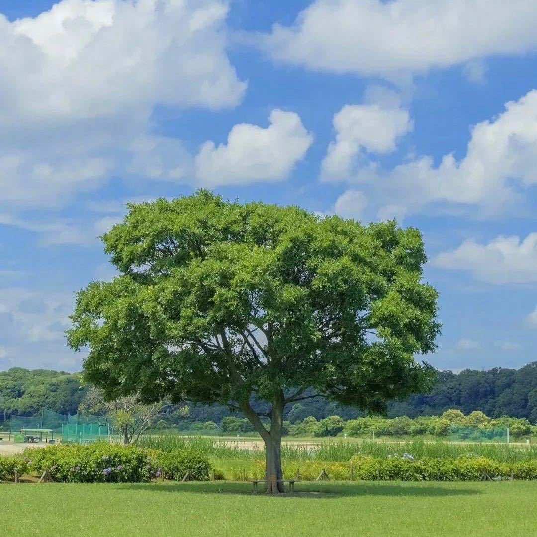 凯斯特灯箱广告有限公司咨询号