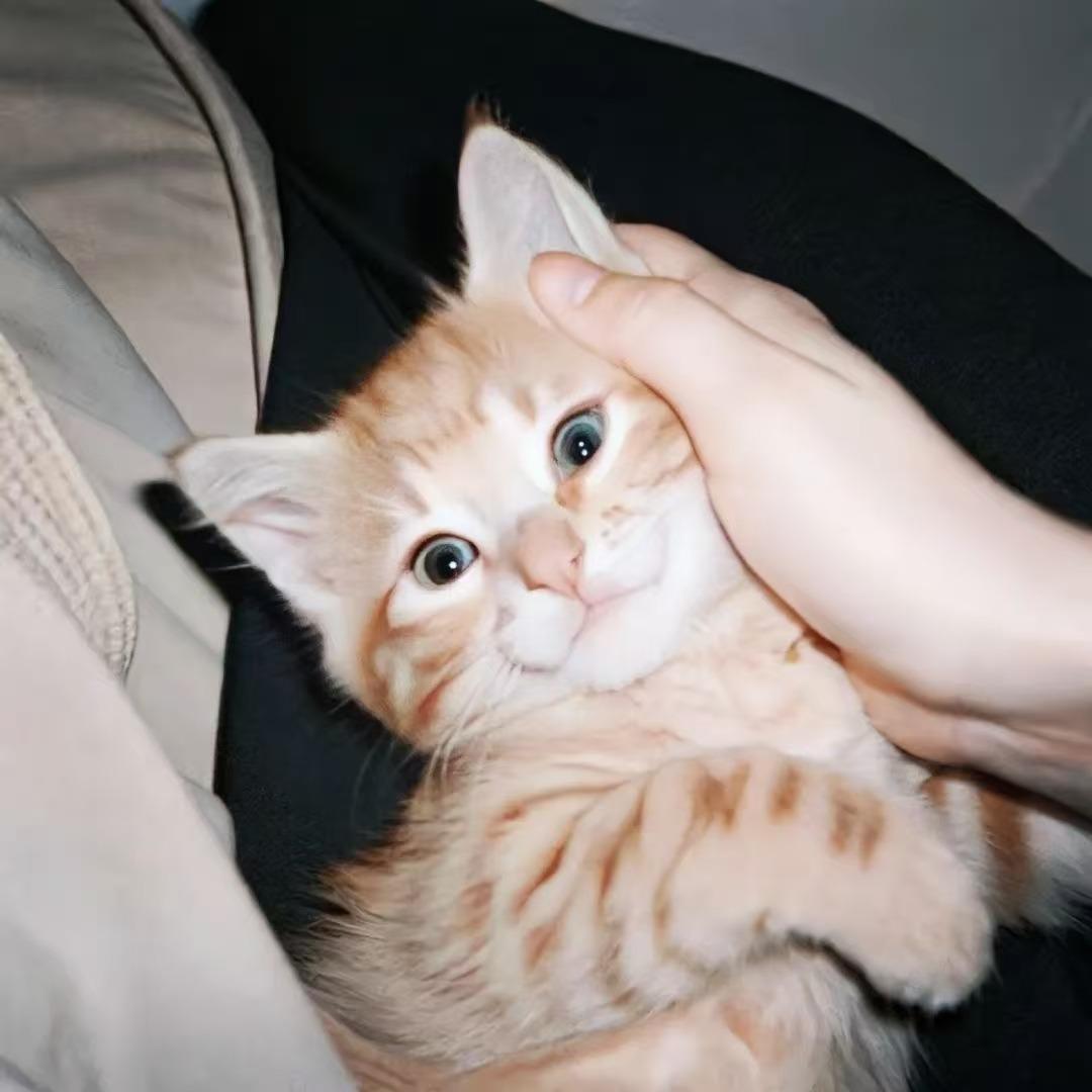 一路长虹(浩塞尔)