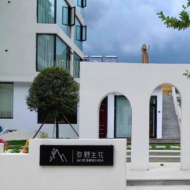 栾川养子沟弥野生花民宿