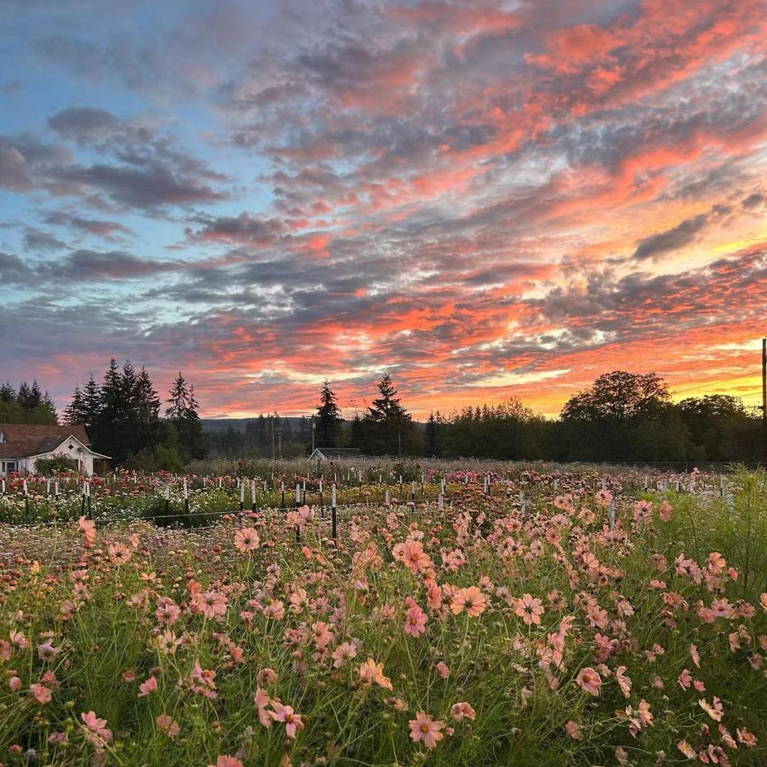 烟台中远国际旅行社导游小白