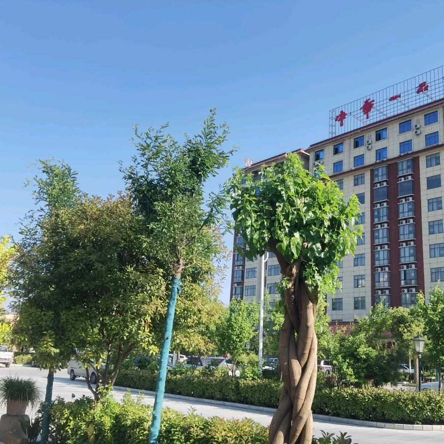 中华一品院酒店