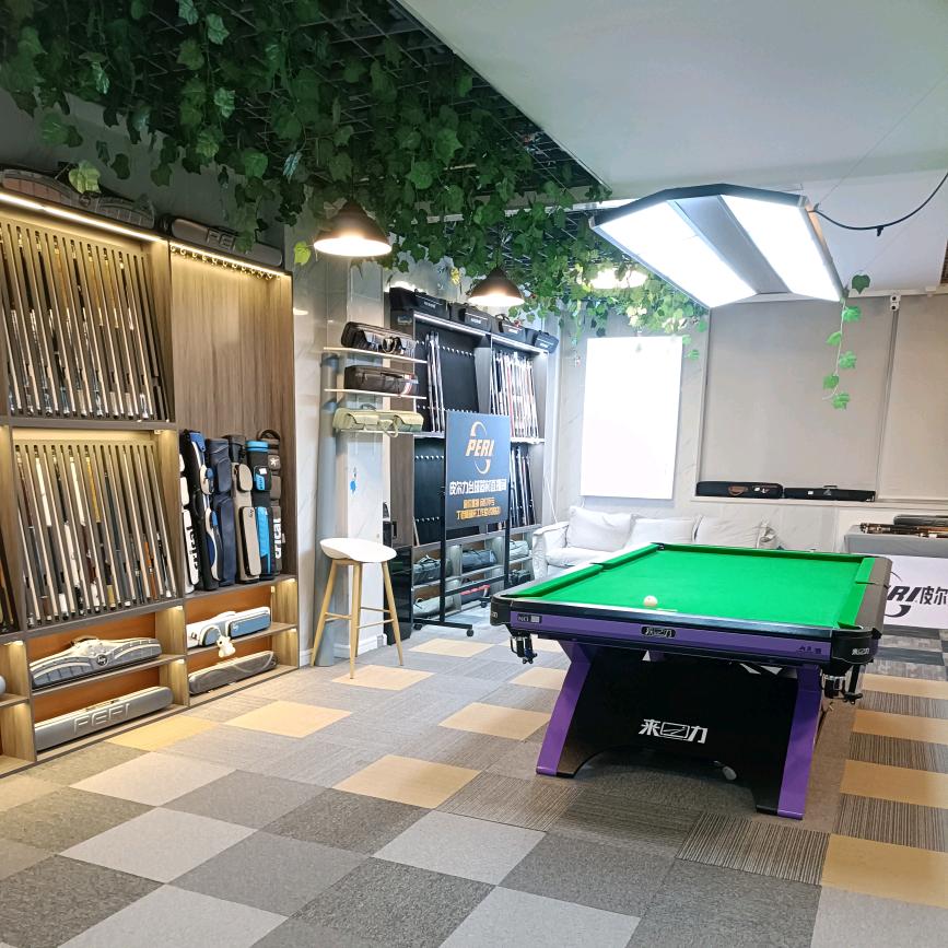 皮尔力台球器材专卖店（沈阳店）