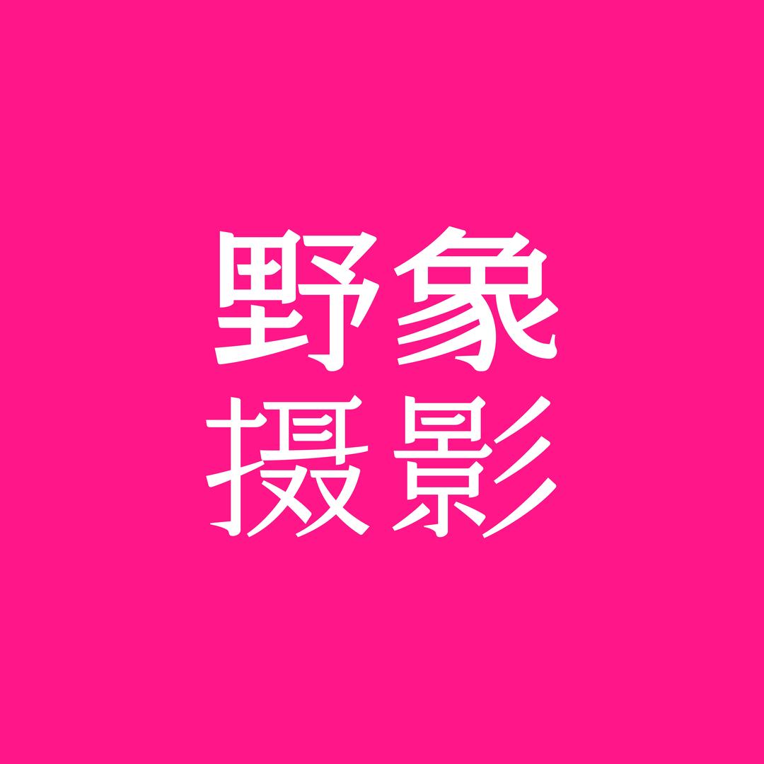 滁州婚纱照.野象摄影