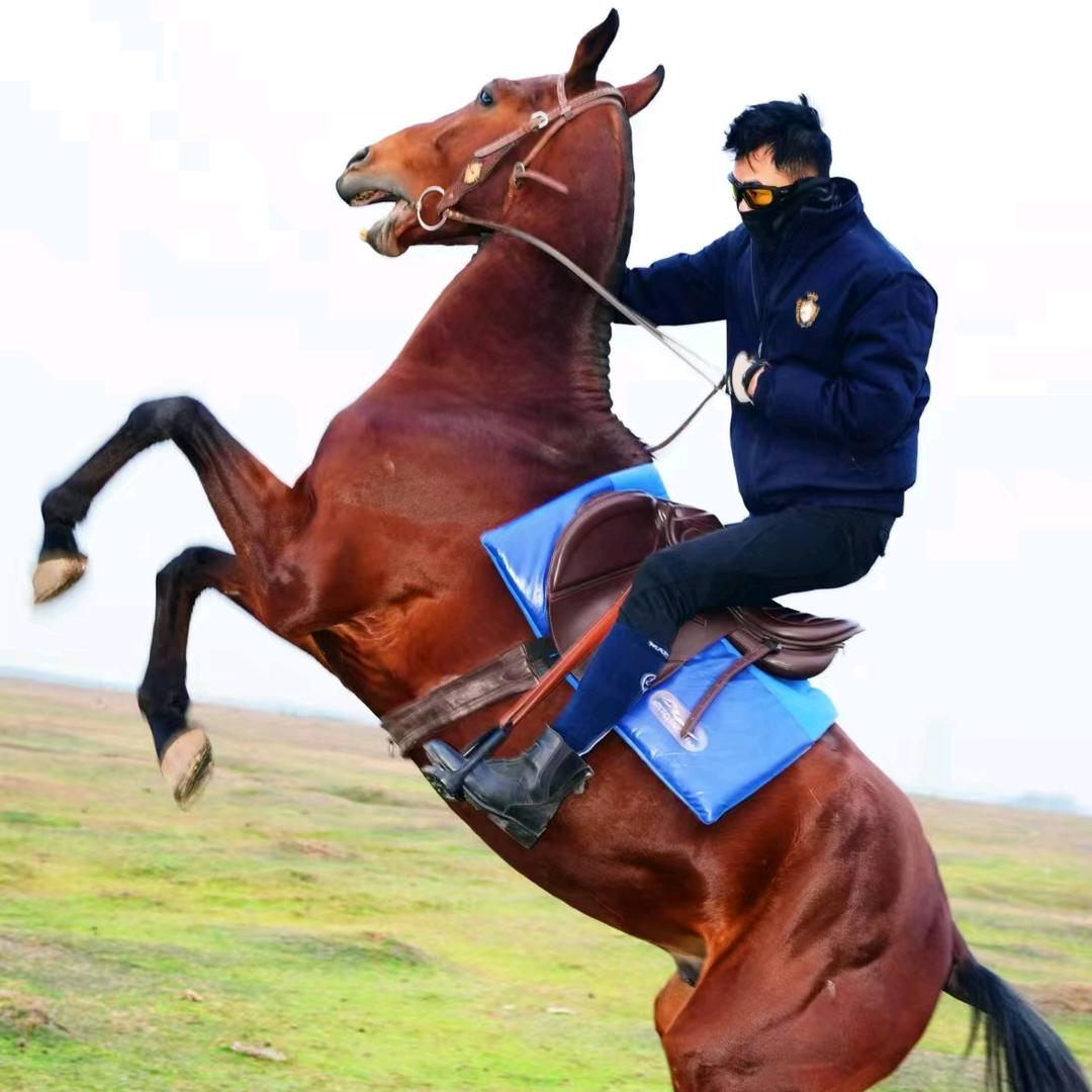 南昌牧马人马术俱乐部有限公司