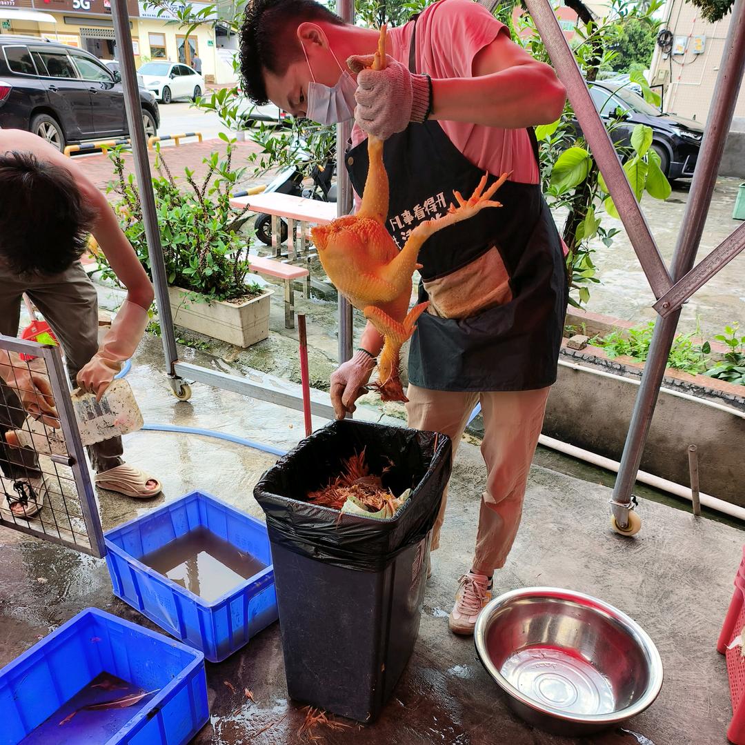 鑫淼椰子鸡猪肚鸡四季火锅官方号