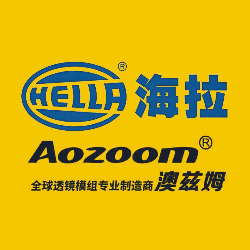 海拉·伯乐车灯沿河路店（王大侠）