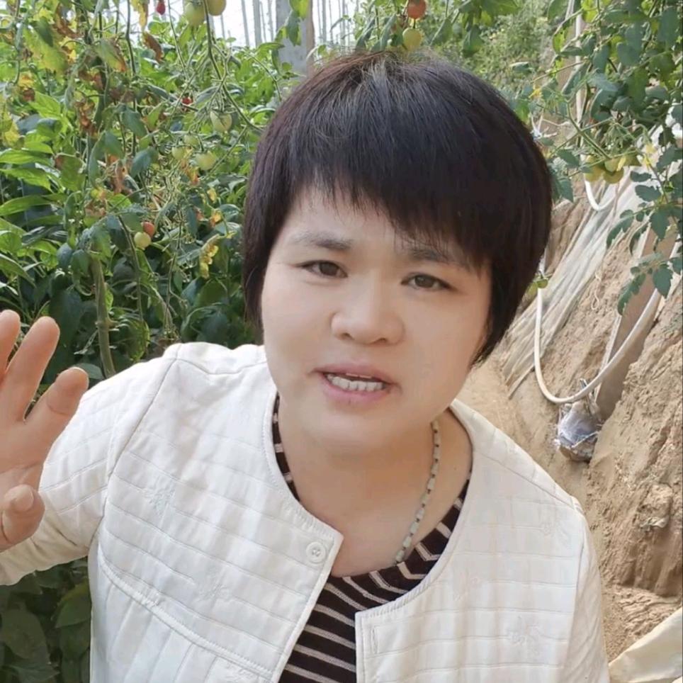 寿光彩椒助农张姐