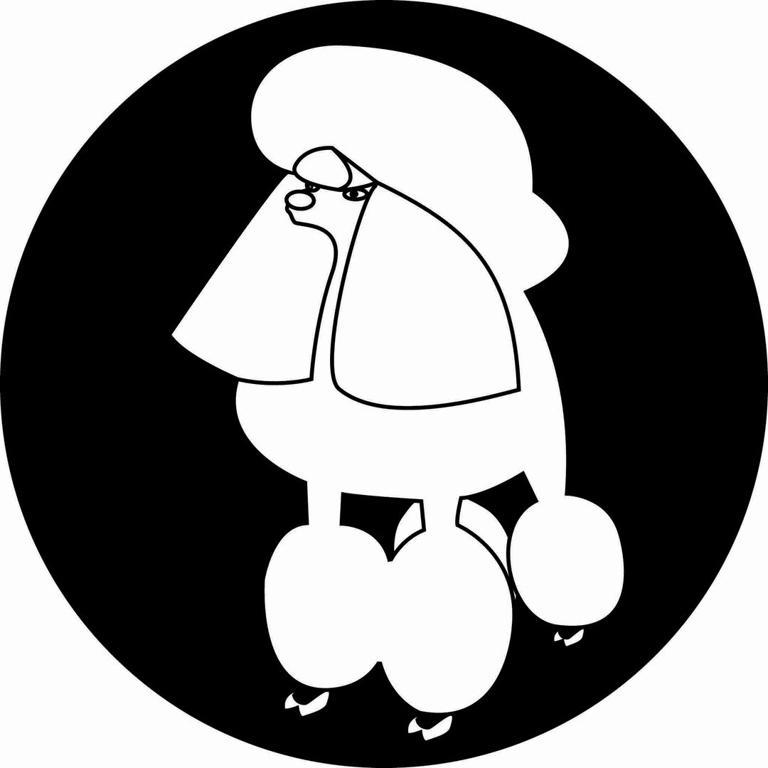 金朝宠美