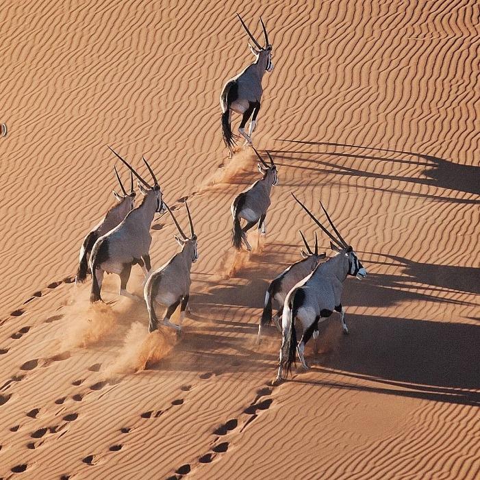 广州南沙区绍远官方号