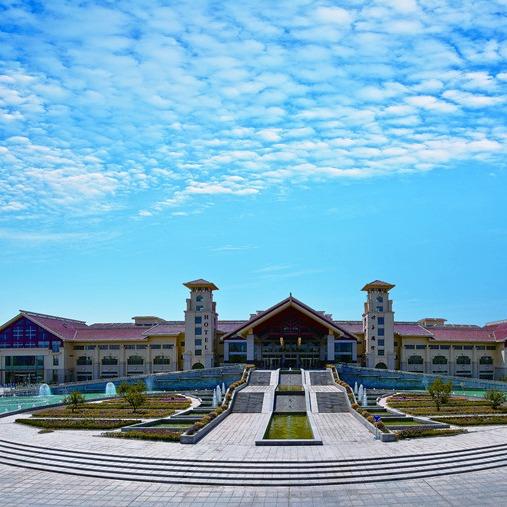 淮北口子国际大酒店直播号