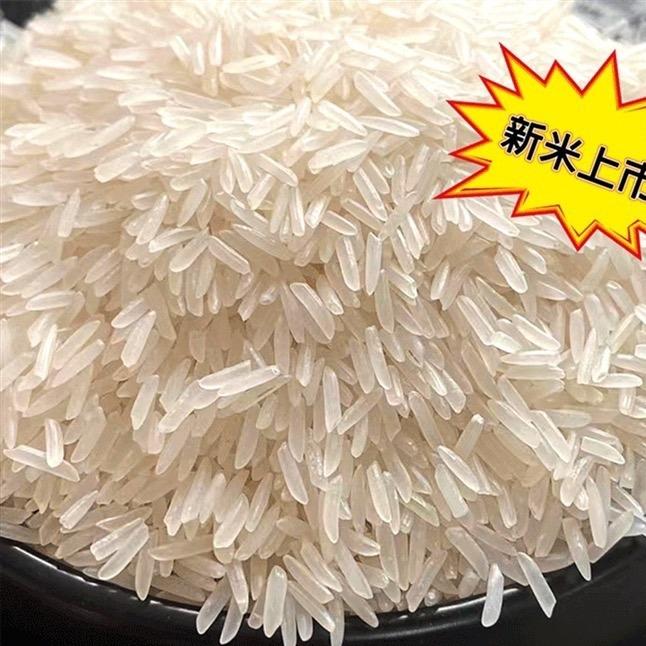 小廖五金君稻直播号