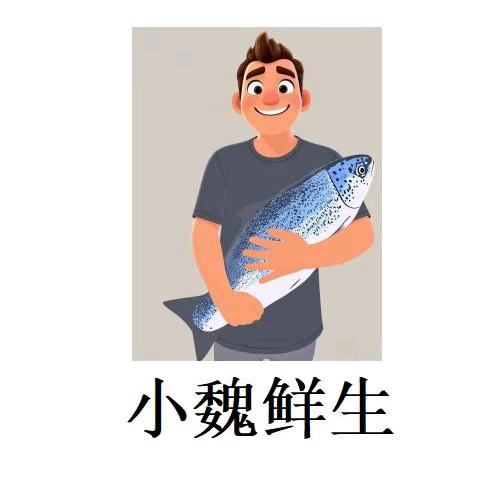 小魏鲜生三文鱼(龙湖天街店)专用号